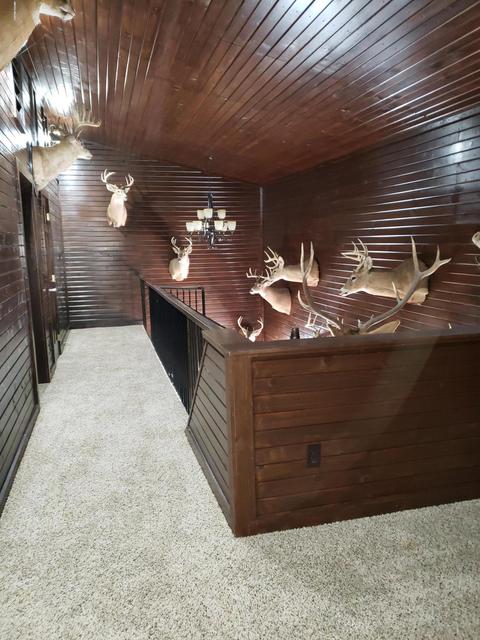 4391 E Territorial Rd, Camden, MI 49232 photo 51