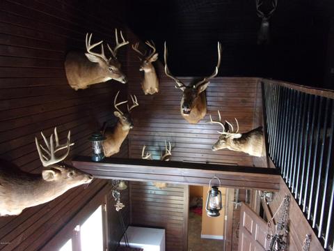 4391 E Territorial Rd, Camden, MI 49232 photo 4
