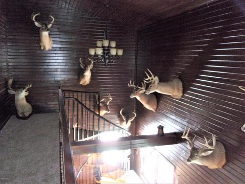 4391 E Territorial Rd, Camden, MI 49232 photo 5