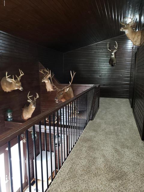4391 E Territorial Rd, Camden, MI 49232 photo 50