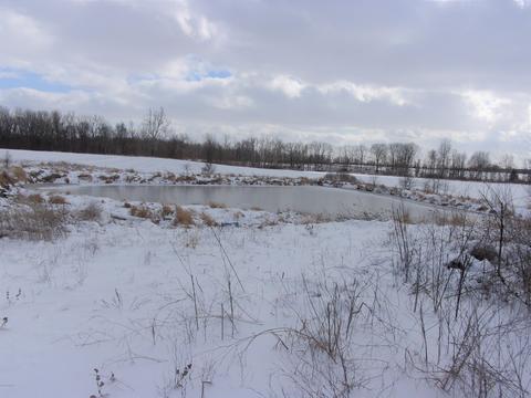 4391 E Territorial Rd, Camden, MI 49232 photo 15