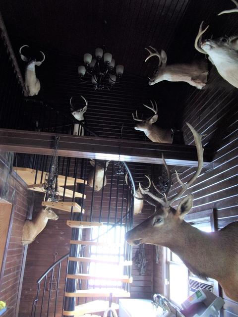 4391 E Territorial Rd, Camden, MI 49232 photo 3