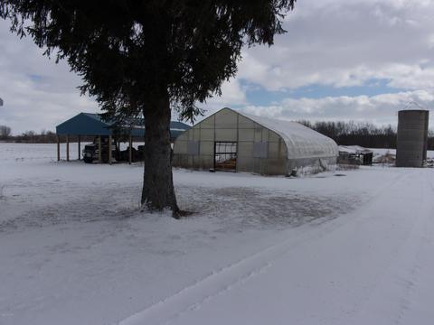 4391 E Territorial Rd, Camden, MI 49232 photo 13