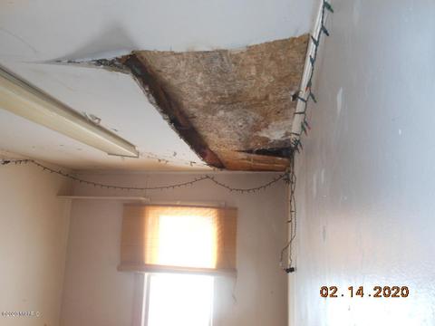 2894 W Sidney Rd, Sidney, MI 48885 photo 28