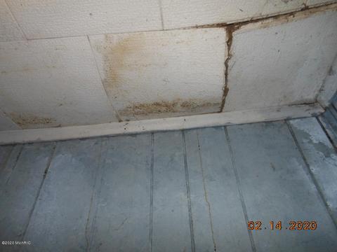 2894 W Sidney Rd, Sidney, MI 48885 photo 21