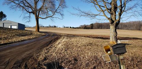9030 E Arthur Rd, Hesperia, MI 49421 photo 3