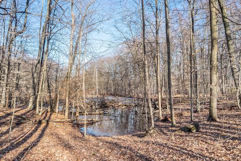 4792 Jordan Rd, Freeport, MI 49325 photo 29