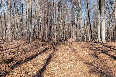 4792 Jordan Rd, Freeport, MI 49325 photo 28