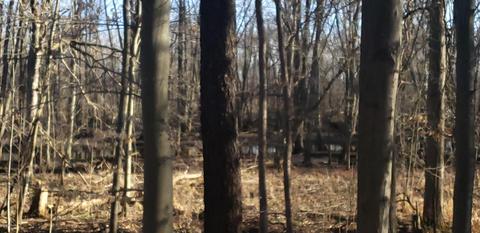 4792 Jordan Rd, Freeport, MI 49325 photo 53