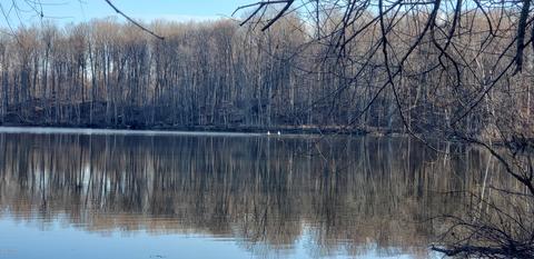 4792 Jordan Rd, Freeport, MI 49325 photo 47