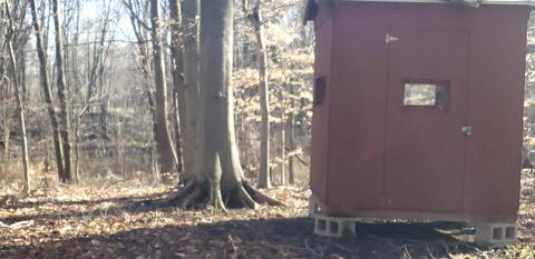 4792 Jordan Rd, Freeport, MI 49325 photo 52