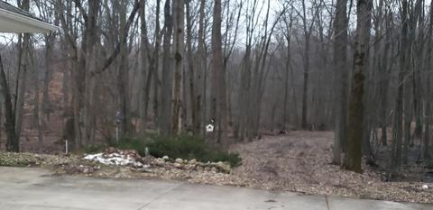 4792 Jordan Rd, Freeport, MI 49325 photo 59