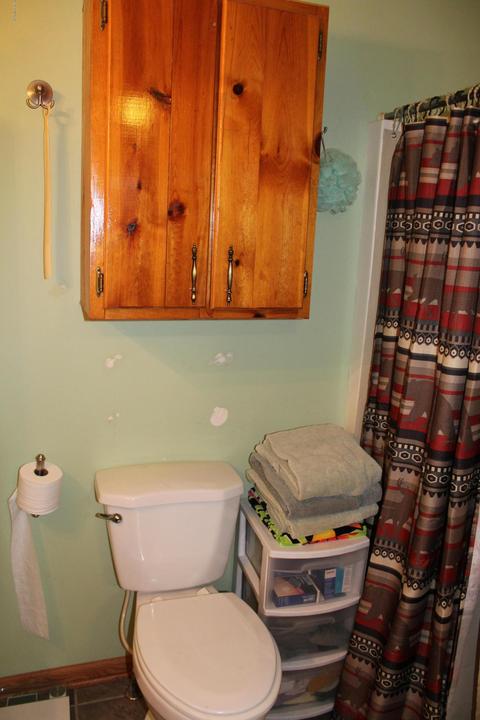 8647 Green Rd, Lakeview, MI 48850 photo 22