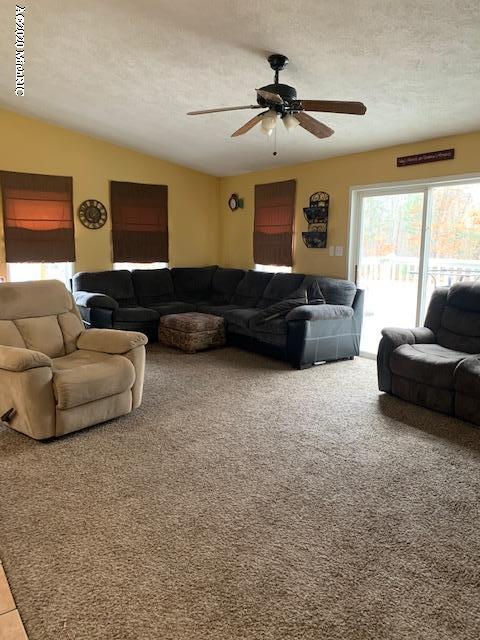 1188 S Oak Ave, White Cloud, MI 49349 photo 9