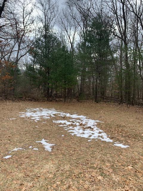 1188 S Oak Ave, White Cloud, MI 49349 photo 38