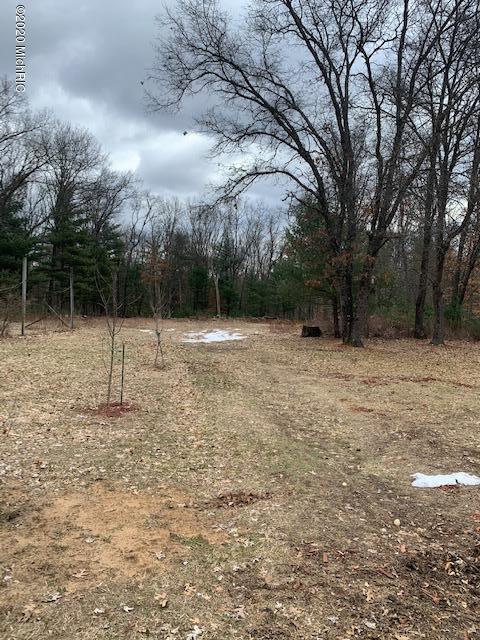 1188 S Oak Ave, White Cloud, MI 49349 photo 39