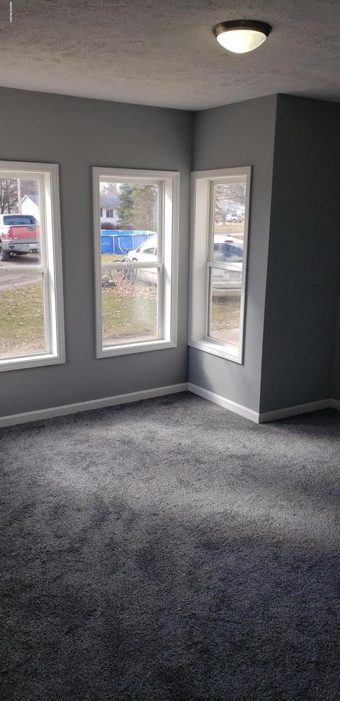8233 Front St, Palo, MI 48870 photo 23