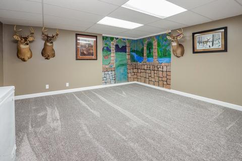 1181 106th Ave, Plainwell, MI 49080 photo 19