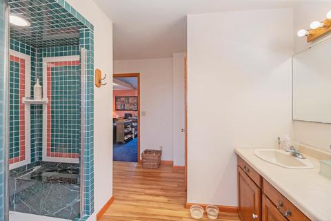 55264 Smith Rd, Mendon, MI 49072 photo 28