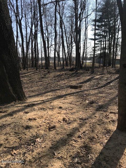 27385 M 60, Cassopolis, MI 49031 photo 4
