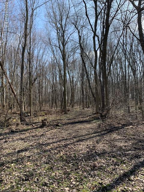 1571 2nd St, Plainwell, MI 49080 photo 21