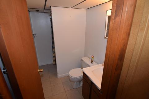 764 E Channel Dr, Coldwater, MI 49036 photo 24