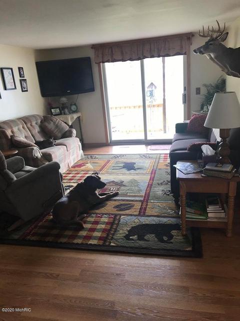 700 170th Ave, Morley, MI 49336 photo 11