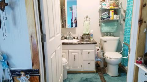 3773 E Shore Dr, Stanton, MI 48888 photo 23