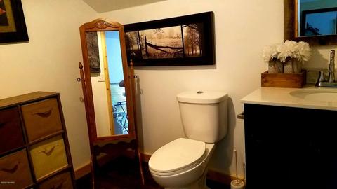 3773 E Shore Dr, Stanton, MI 48888 photo 18