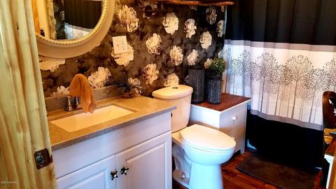3773 E Shore Dr, Stanton, MI 48888 photo 10