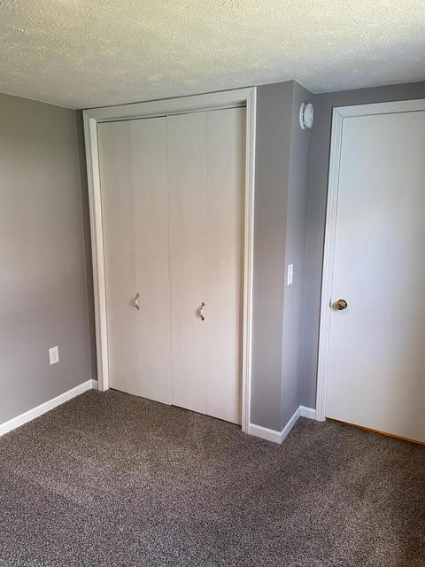 519 E Walnut St, Stanton, MI 48888 photo 22