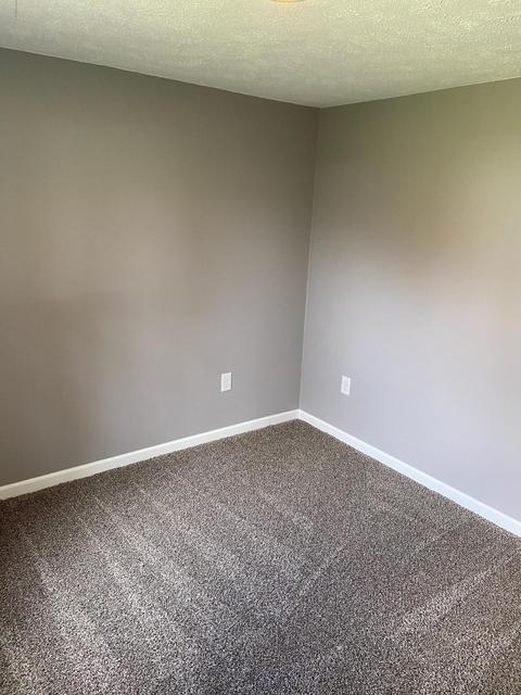 519 E Walnut St, Stanton, MI 48888 photo 21
