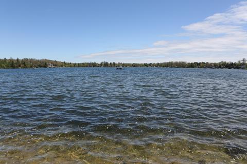 1315 S Derby Rd, Stanton, MI 48888 photo 28