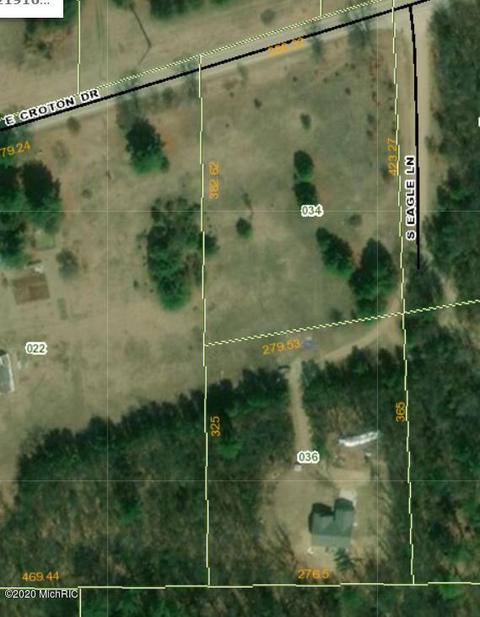 6959 S Eagle Ln, Newaygo, MI 49337 photo 28