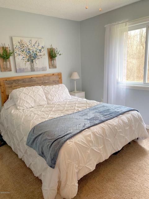 1340 S Locust Ave, White Cloud, MI 49349 photo 14