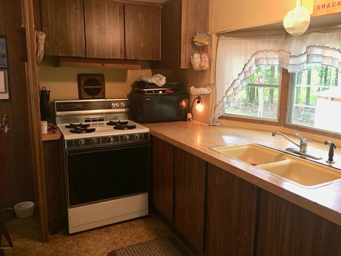 8753 E Ruth Dr, Branch, MI 49402 photo 9