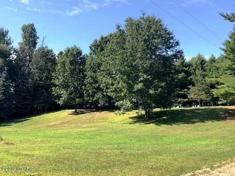 6947 Bird Dr, Evart, MI 49631 photo 26