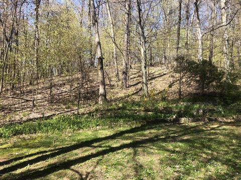 3670 W B Ave, Plainwell, MI 49080 photo 19