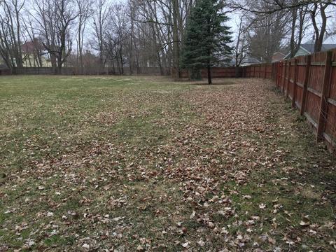 161 E Chicago St, Coldwater, MI 49036 photo 37