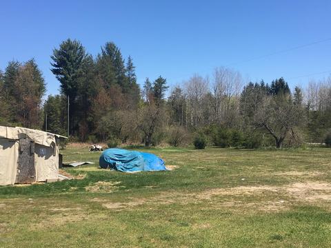 9843 Comstock Avenue Ave, Bitely, MI 49309 photo 36