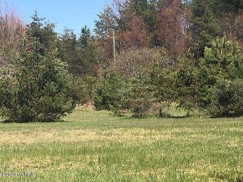 9843 Comstock Avenue Ave, Bitely, MI 49309 photo 26