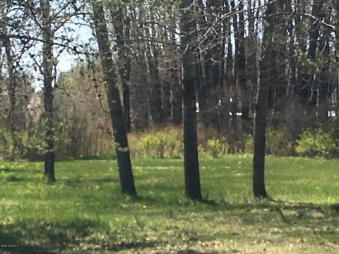 9843 Comstock Avenue Ave, Bitely, MI 49309 photo 32