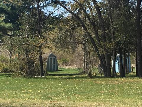 9843 Comstock Avenue Ave, Bitely, MI 49309 photo 31