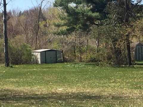9843 Comstock Avenue Ave, Bitely, MI 49309 photo 30
