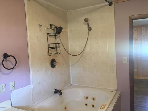 9843 Comstock Avenue Ave, Bitely, MI 49309 photo 7
