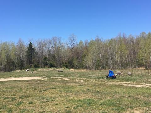 9843 Comstock Avenue Ave, Bitely, MI 49309 photo 39
