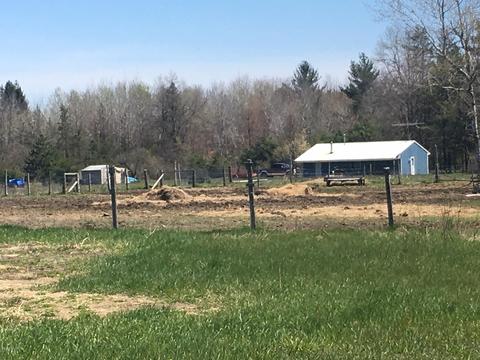 9843 Comstock Avenue Ave, Bitely, MI 49309 photo 5