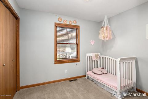 709 Park Street St, Belding, MI 48809 photo 14