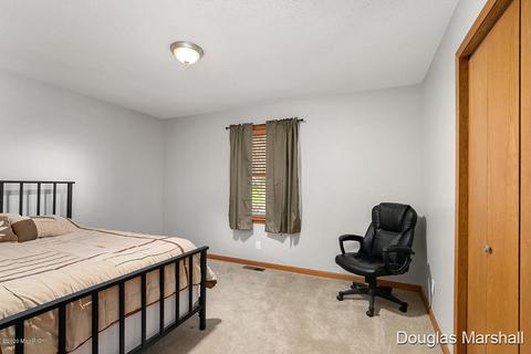709 Park Street St, Belding, MI 48809 photo 15