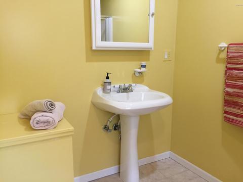 13870 Rea Ave, Harbert, MI 49115 photo 28